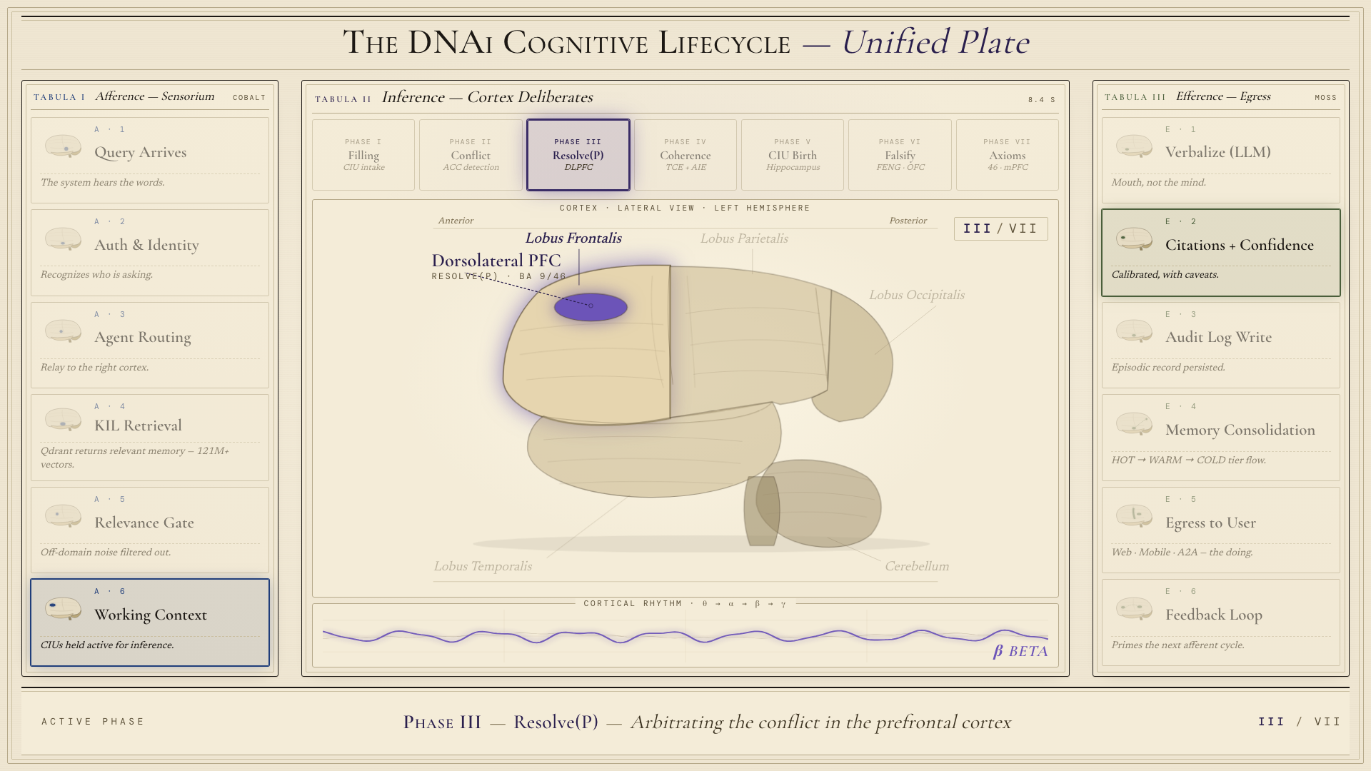 DNAi cognitive lifecycle poster